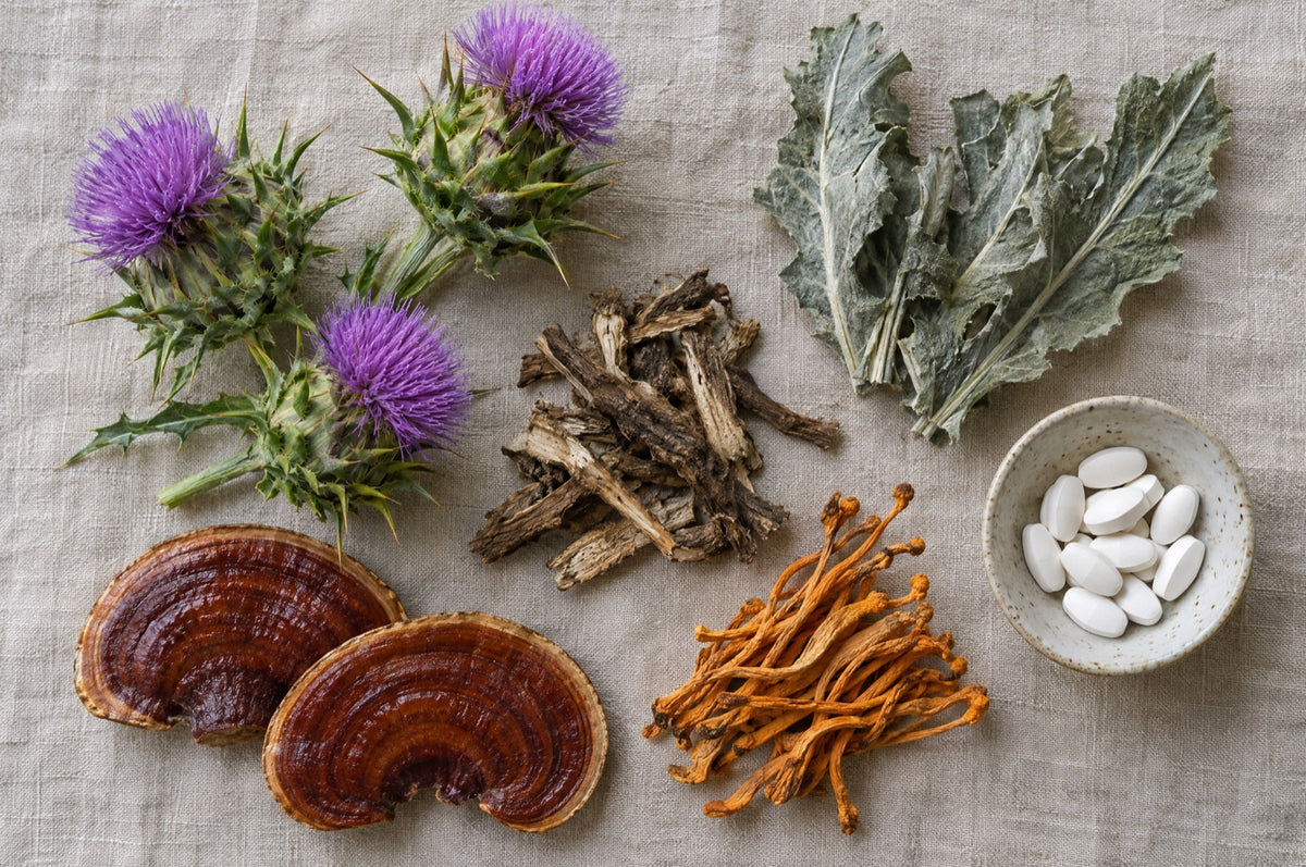 Cardo mariano, hongos reishi y cordyceps y botánicos secos sobre lino
